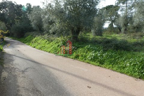 Helårsgrund i Coimbra, Coimbra, Coimbra - € 60.000 | Ref: JG3776 - foto 3