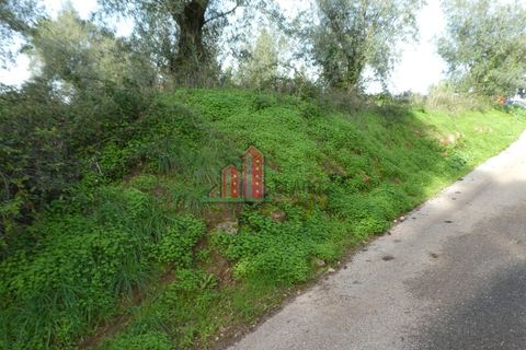 Helårsgrund i Coimbra, Coimbra, Coimbra - € 60.000 | Ref: JG3776 - foto 4