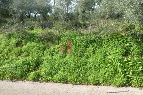 Helårsgrund i Coimbra, Coimbra, Coimbra - € 60.000 | Ref: JG3776 - foto 7