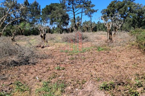 Helårsgrund i Coimbra, Coimbra, Coimbra - € 60.000 | Ref: JG3776 - foto 8