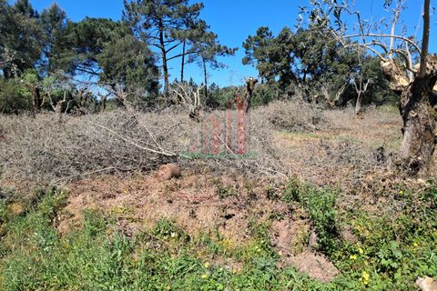 Helårsgrund i Coimbra, Coimbra, Coimbra - € 60.000 | Ref: JG3776 - foto 10