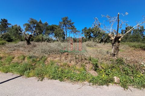 Helårsgrund i Coimbra, Coimbra, Coimbra - € 60.000 | Ref: JG3776 - foto 11