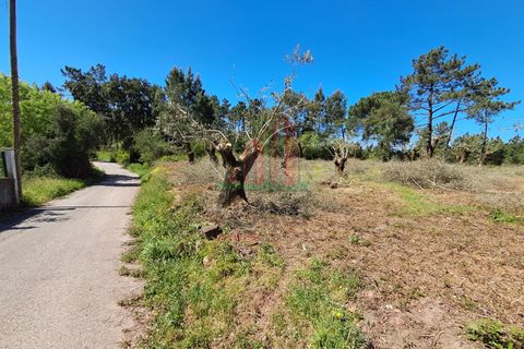Helårsgrund i Coimbra, Coimbra, Coimbra - € 60.000 | Ref: JG3776 - foto 12