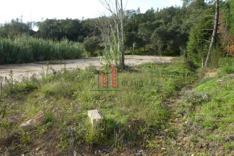 Helårsgrund i Coimbra, Coimbra, Coimbra - € 70.000 | Ref: JG3777 - foto 2