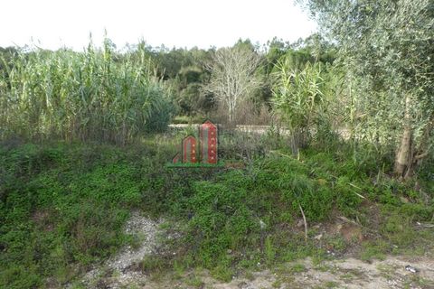 Helårsgrund i Coimbra, Coimbra, Coimbra - € 70.000 | Ref: JG3777 - foto 3