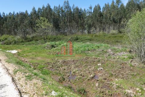 Helårsgrund i Penela, Coimbra, Penela - € 50.000 | Ref: JG3811 - foto 3