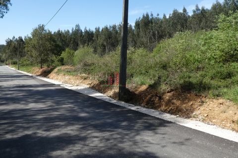 Helårsgrund i Penela, Coimbra, Penela - € 50.000 | Ref: JG3811 - foto 6
