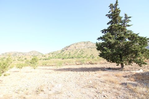 Terra a Ricote, Murcia, Ricote - € 52.000 | Ref: 2333 - foto 2