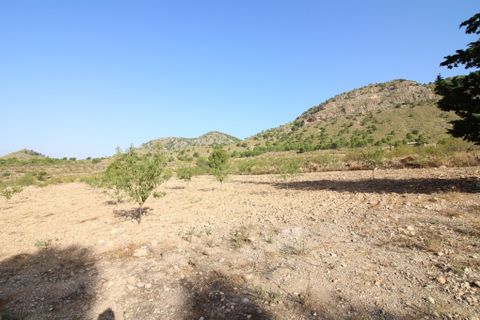 Terra a Ricote, Murcia, Ricote - € 52.000 | Ref: 2333 - foto 3