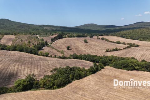 Landejendom i Capalbio, Grosseto, Capalbio - € 1.250.000 | Ref: V-0109 - foto 9