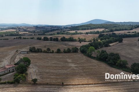 Landejendom i Capalbio, Grosseto, Capalbio - € 1.250.000 | Ref: V-0109 - foto 12