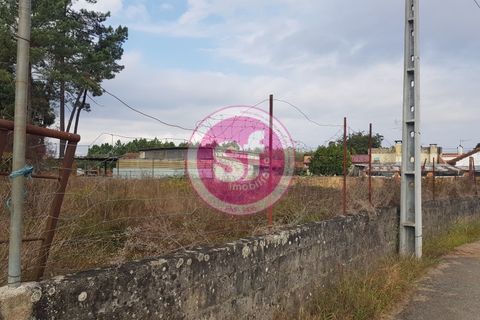Helårsgrund i Anadia, Aveiro, Anadia - € 27.500 | Ref: 010501034 - foto 1