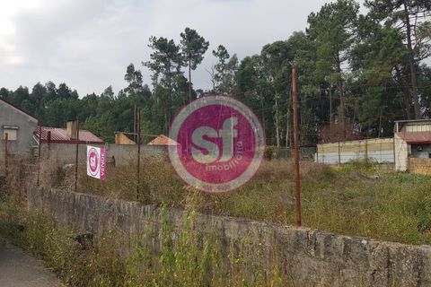 Helårsgrund i Anadia, Aveiro, Anadia - € 27.500 | Ref: 010501034 - foto 2