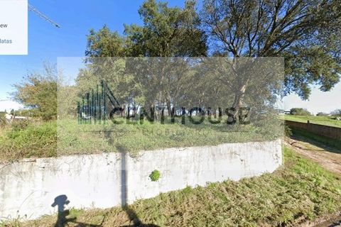 Helårsgrund i Anadia, Aveiro, Anadia - € 70.000 | Ref: M24009 - foto 2