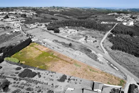 Helårsgrund i Carvalhal, Leiria, Carvalhal - € 65.000 | Ref: PTC20240205.9 - foto 3