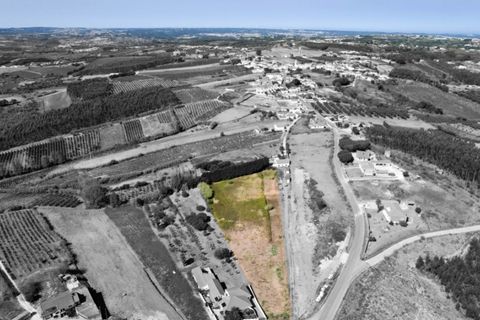 Helårsgrund i Carvalhal, Leiria, Carvalhal - € 65.000 | Ref: PTC20240205.9 - foto 9