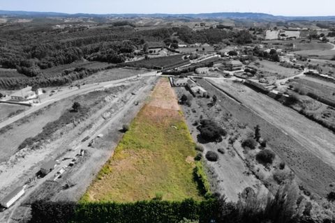 Helårsgrund i Carvalhal, Leiria, Carvalhal - € 65.000 | Ref: PTC20240205.9 - foto 5