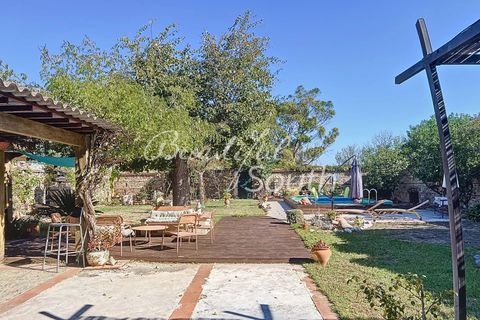 Villa i Perpignan, Pyrenees-Orientales, Perpignan - € 799.000 | Ref: SP462 - foto 3