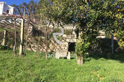 Byhus i Arcos de Valdevez, Viana do Castelo, Arcos de Valdevez - € 99.000 | Ref: AV3987 - foto 8