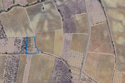 Helårsgrund i Redondo, Evora, Redondo - € 12.000 | Ref: MG202469 - foto 3