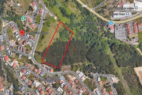 Helårsgrund i Leiria, Leiria, Leiria - € 750.000 | Ref: TER_99 - foto 1