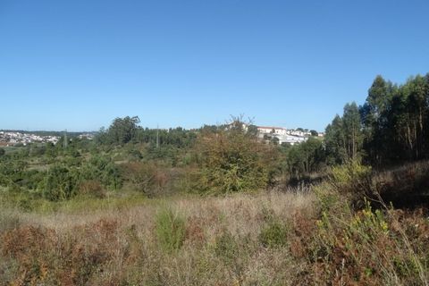 Helårsgrund i Leiria, Leiria, Leiria - € 750.000 | Ref: TER_99 - foto 2