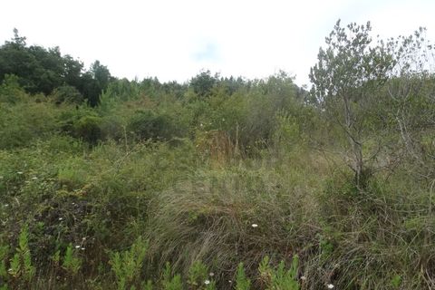 Helårsgrund i Leiria, Leiria, Leiria - € 750.000 | Ref: TER_99 - foto 5