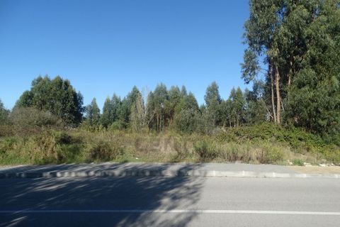 Helårsgrund i Leiria, Leiria, Leiria - € 750.000 | Ref: TER_99 - foto 6