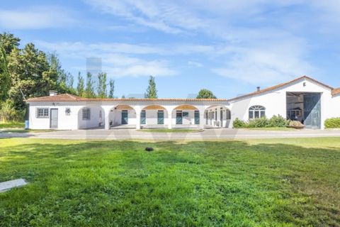 Farm i Carcavelos, Lisbon, Carcavelos - € 7.500.000 | Ref: KWPT-001500 - foto 27