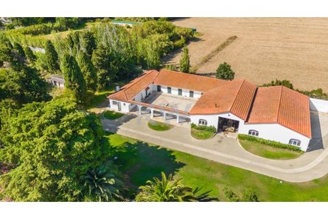 Farm i Carcavelos, Lisbon, Carcavelos - € 7.500.000 | Ref: KWPT-001500 - foto 28