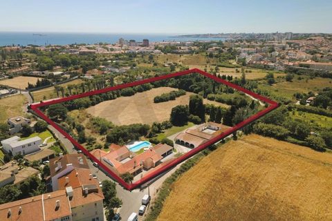 Farm i Carcavelos, Lisbon, Carcavelos - € 7.500.000 | Ref: KWPT-001500 - foto 29