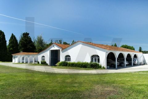 Farm i Carcavelos, Lisbon, Carcavelos - € 7.500.000 | Ref: KWPT-001500 - foto 26