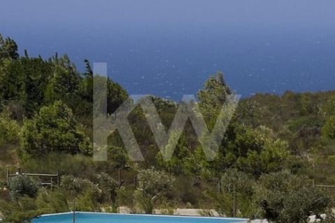 Helårsgrund i Alcabideche, Lisbon, Alcabideche - € 1.500.000 | Ref: 2001001-862 - foto 8