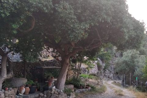 Villa a Deia, Mallorca, Deia - € 3.711.750 | Ref: 32035 - foto 6