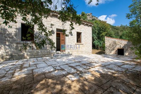 Landejendom i Calangianus, Sassari, Calangianus - € 640.000 | Ref: OT-172LM - foto 6