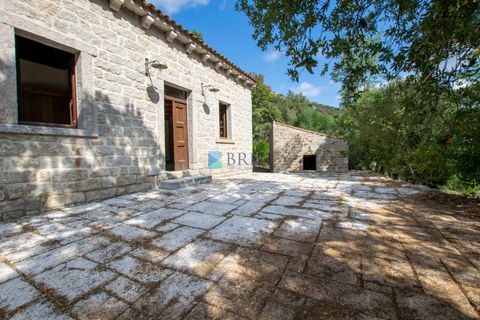 Landejendom i Calangianus, Sassari, Calangianus - € 640.000 | Ref: OT-172LM - foto 7