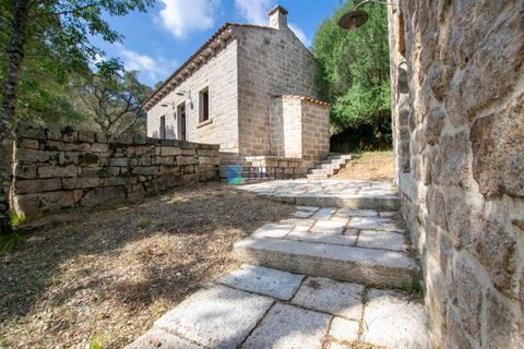 Landejendom i Calangianus, Sassari, Calangianus - € 640.000 | Ref: OT-172LM - foto 8