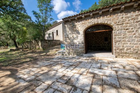 Landejendom i Calangianus, Sassari, Calangianus - € 640.000 | Ref: OT-172LM - foto 9