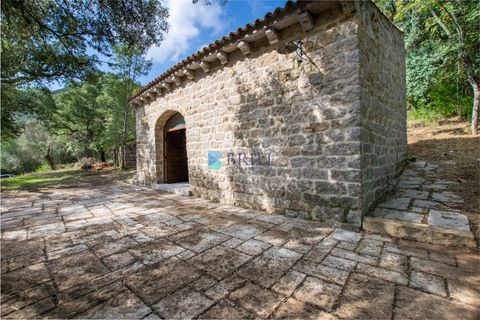 Landejendom i Calangianus, Sassari, Calangianus - € 640.000 | Ref: OT-172LM - foto 13