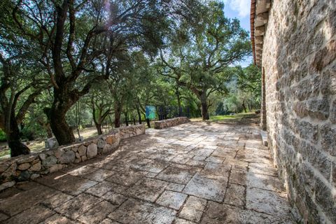 Landejendom i Calangianus, Sassari, Calangianus - € 640.000 | Ref: OT-172LM - foto 14
