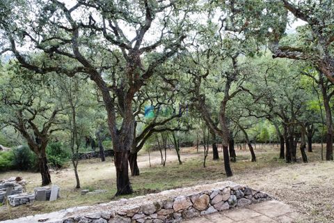 Landejendom i Calangianus, Sassari, Calangianus - € 640.000 | Ref: OT-172LM - foto 16