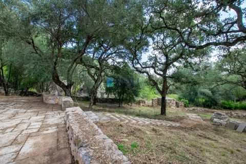 Landejendom i Calangianus, Sassari, Calangianus - € 640.000 | Ref: OT-172LM - foto 17