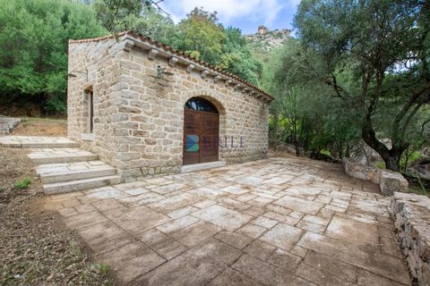 Landejendom i Calangianus, Sassari, Calangianus - € 640.000 | Ref: OT-172LM - foto 18