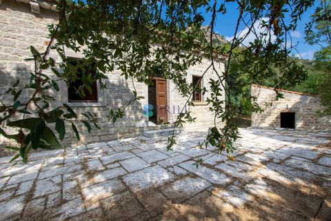 Landejendom i Calangianus, Sassari, Calangianus - € 640.000 | Ref: OT-172LM - foto 19