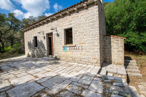 Landejendom i Calangianus, Sassari, Calangianus - € 640.000 | Ref: OT-172LM - foto 20