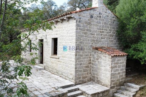 Landejendom i Calangianus, Sassari, Calangianus - € 640.000 | Ref: OT-172LM - foto 21