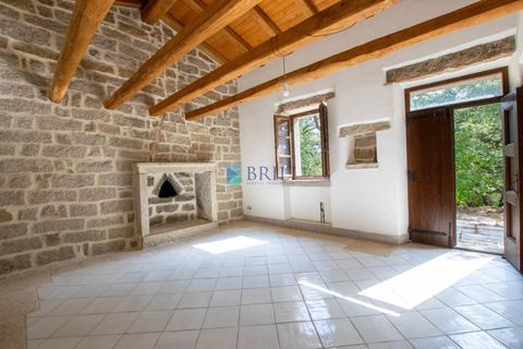 Landejendom i Calangianus, Sassari, Calangianus - € 640.000 | Ref: OT-172LM - foto 22