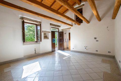 Landejendom i Calangianus, Sassari, Calangianus - € 640.000 | Ref: OT-172LM - foto 25