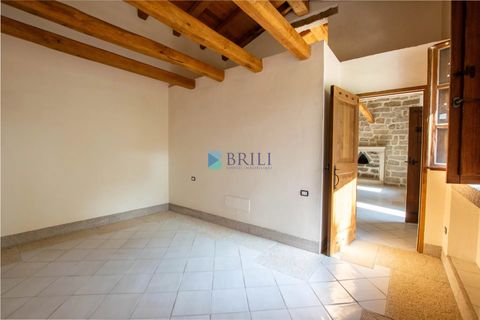 Landejendom i Calangianus, Sassari, Calangianus - € 640.000 | Ref: OT-172LM - foto 26