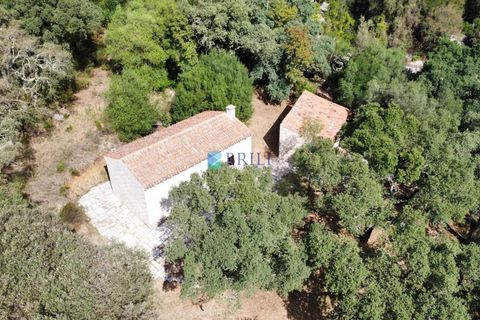 Landejendom i Calangianus, Sassari, Calangianus - € 640.000 | Ref: OT-172LM - foto 29